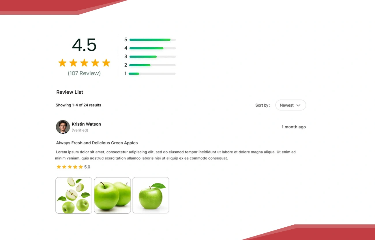 Building the Data Extraction Framework