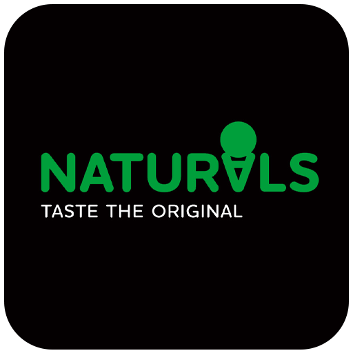 Natural-Ice-Cream-logo